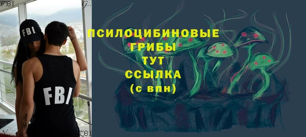 винт Армянск