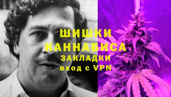 шишки Алексин
